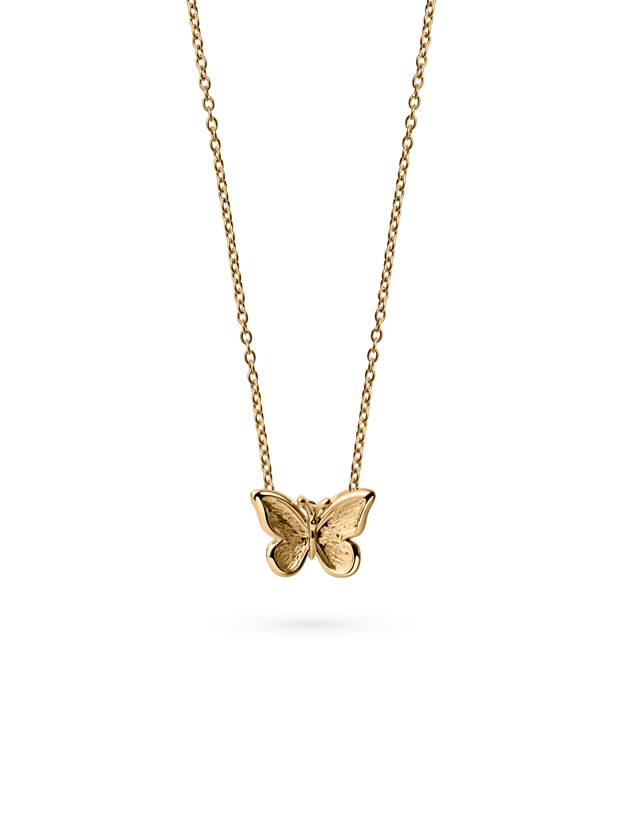 midi butterfly necklace waterproof 18k gold PVD plating