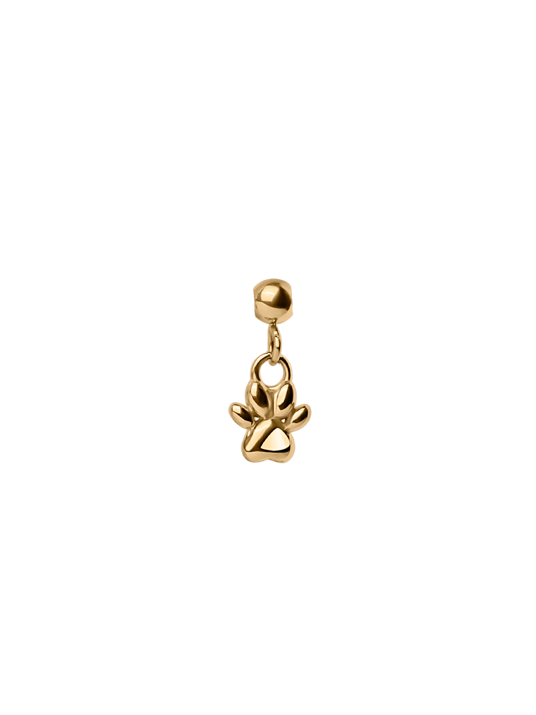 Paw Charm in Waterproof 18K gold PVD plating