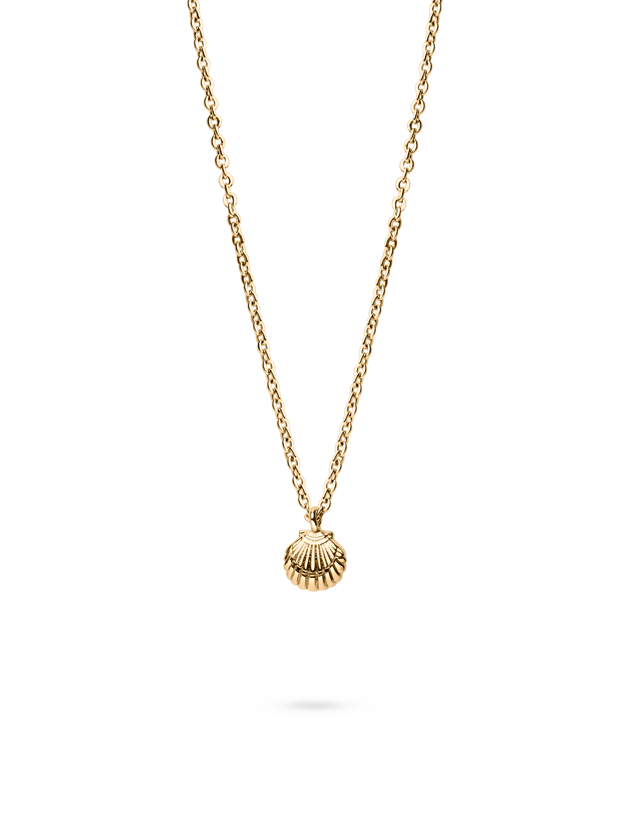 seashell necklace 18k gold plated brass
